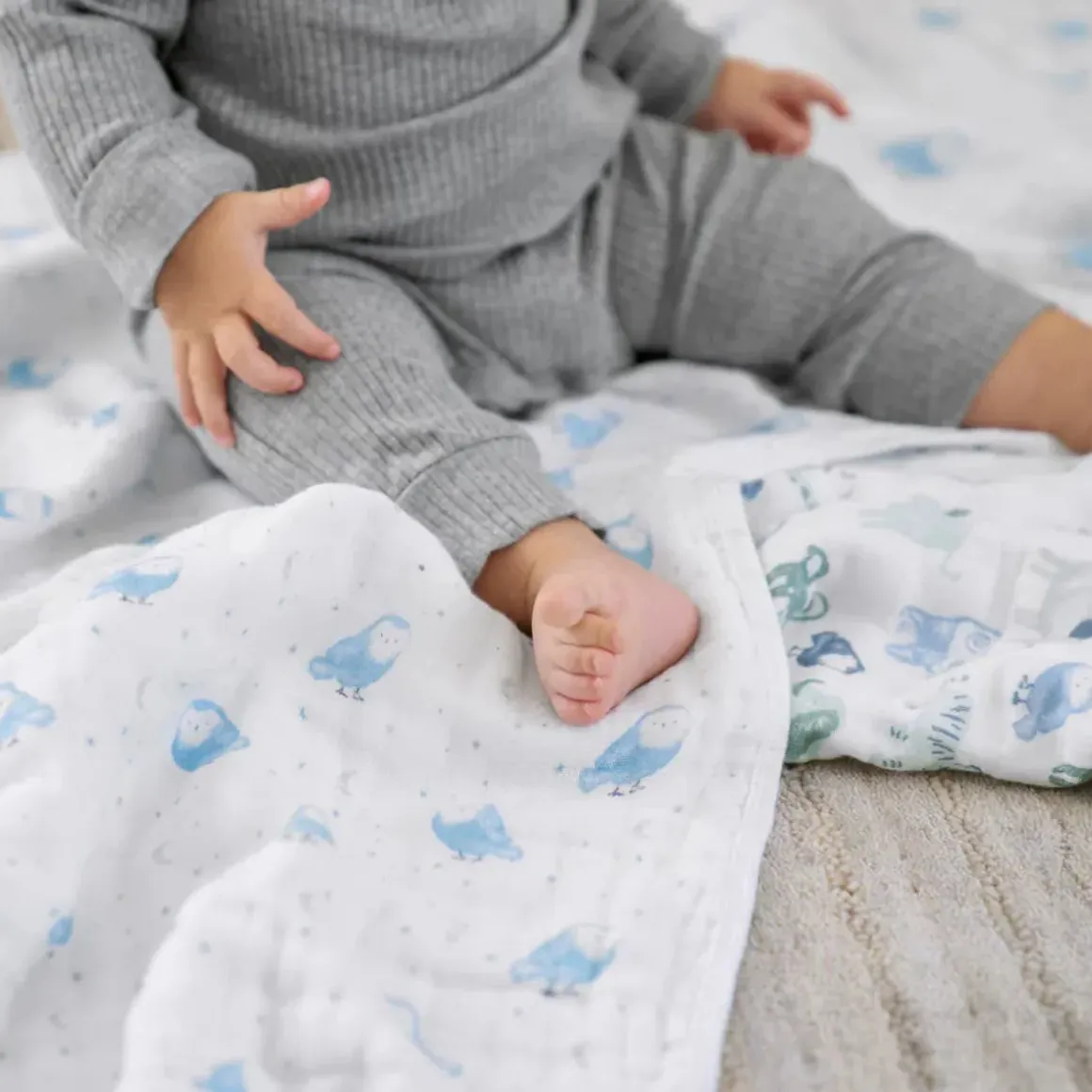 Aden + Anais Essentials Cotton Muslin Swaddle Blanket 2 pk - Time To Dream