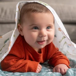 Aden + Anais Essentials Cotton Muslin Swaddle Blanket 4 pk - Dino Jungle