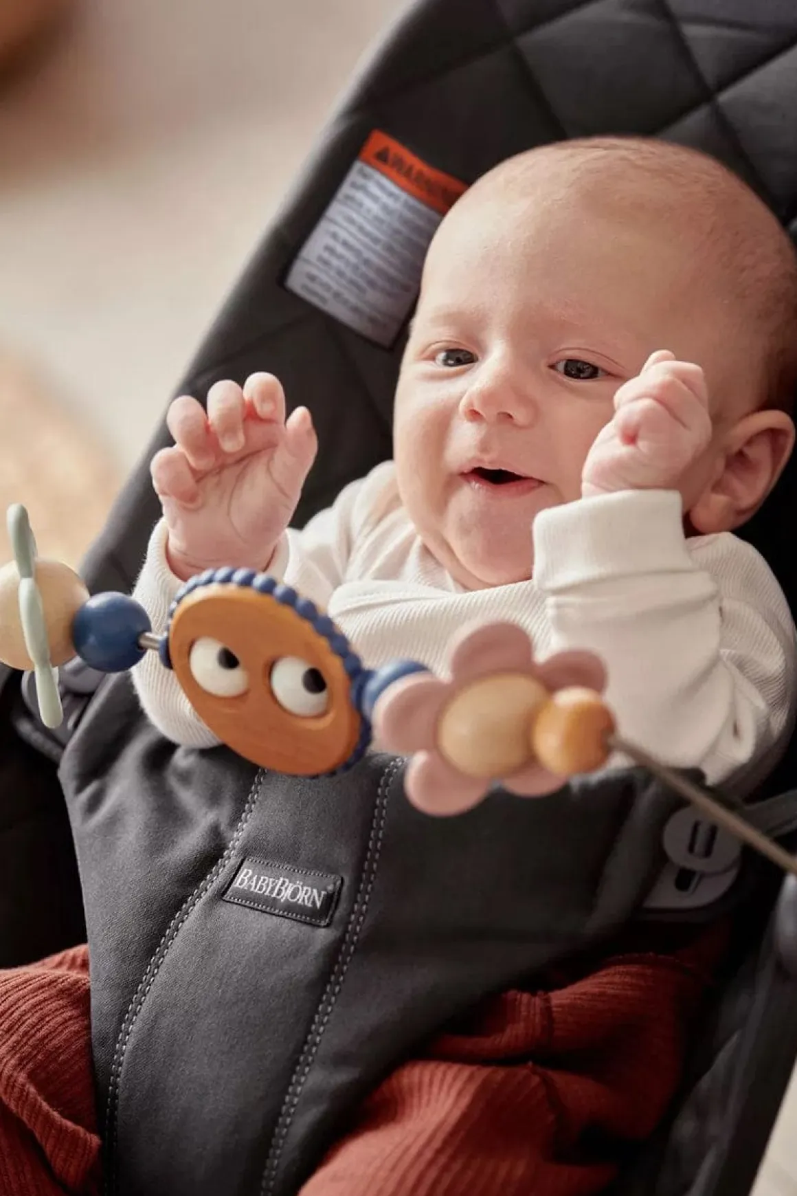 BabyBjörn Toy for Bouncer - Googly Eyes Pastels