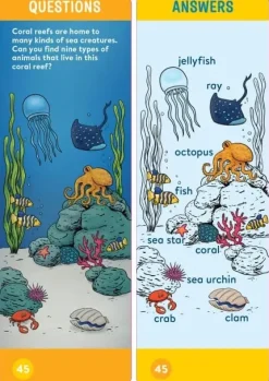Brain Quest Kindergarten Smart Cards Revised 5th Edition