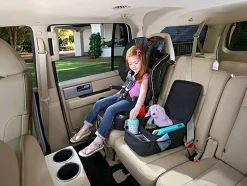Britax Car Seat Caddy