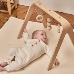 Charlie Crane NAHO Activity Arch + Wooden Toys