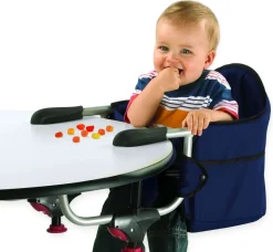 Chicco Caddy Hook On Table Chair - Vapor