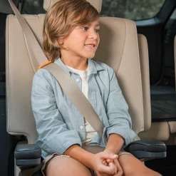 Chicco GoFit ClearTex Plus Backless Booster Car Seat - Obsidian