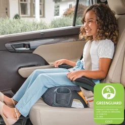 Chicco GoFit ClearTex Plus Backless Booster Car Seat - Obsidian
