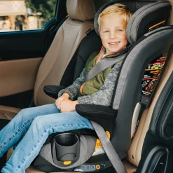 Chicco MyFit Harness Booster Car Seat - Haven