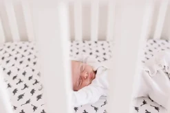 Copper Pearl Premium Fitted Crib Sheet - Wild