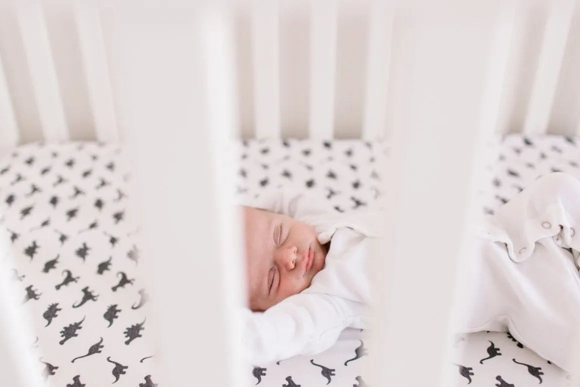 Copper Pearl Premium Fitted Crib Sheet - Wild