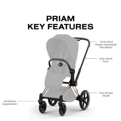 Cybex Priam Style Frame (2026) - Rosegold