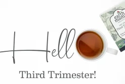 Earth Mama Organic Third Trimester Tea