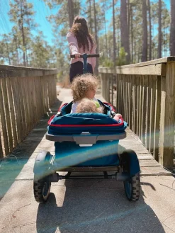 Gladly Family AnthemZ All-Terrain (2 Seater) Stroller Wagon - Wild Berry