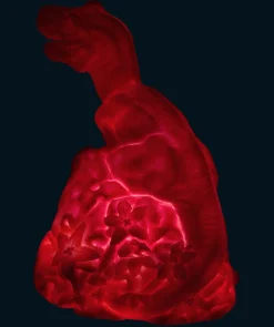 Goodnight Light Dino Lamp - Neon Pink