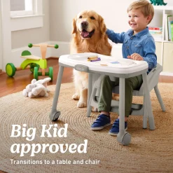 Graco Table2Table LX 6-in-1 High Chair - Willow