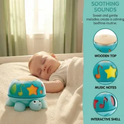 Hape Twist & Tune Turtle