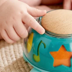 Hape Twist & Tune Turtle