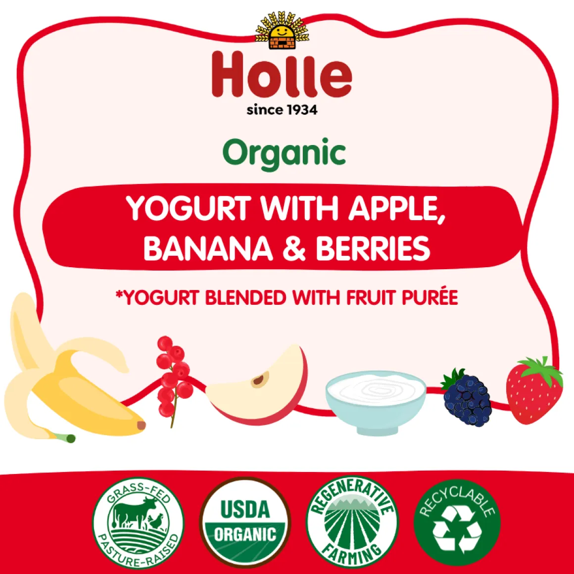 Holle Organic Apple, Banana & Berries Yogurt Pouches