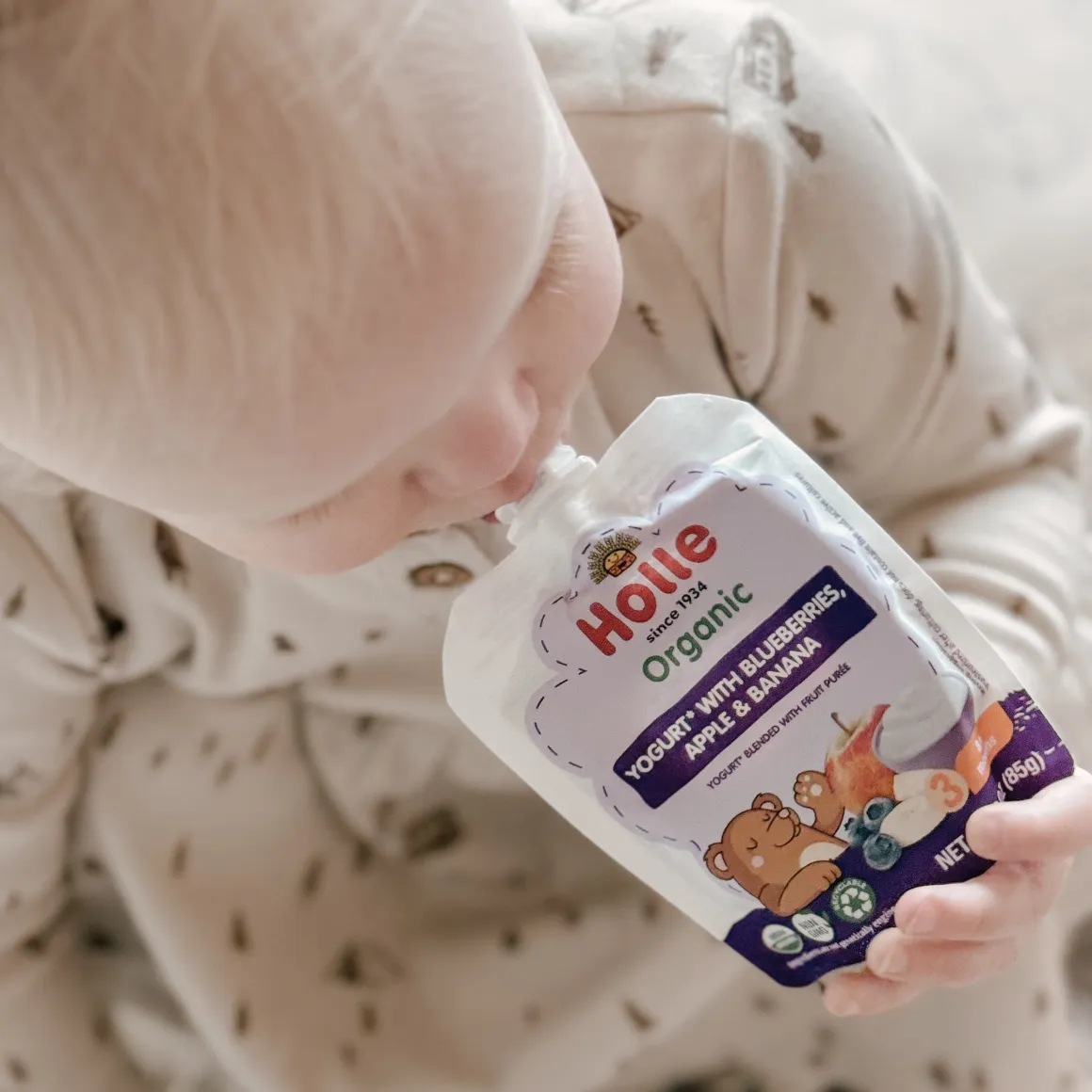 Holle Organic Blueberries, Apple & Banana Yogurt Pouches