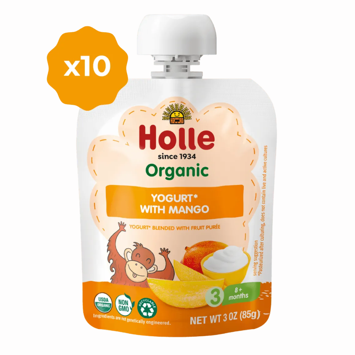 Holle Organic Mango Yogurt Pouches