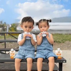 Holle Organic Mango Yogurt Pouches