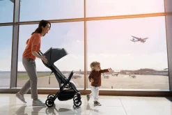 Inglesina Quid Compact Lightweight Stroller - Elephant Gray