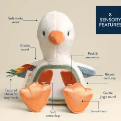 Itzy Ritzy Goose Itzy Bitzy Mirror Sensory Tummy Time Mirror