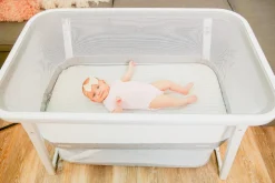 Joovy Coo Portable Bassinet - Gray