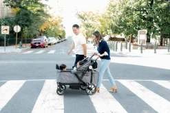 Larktale Sprout V2 Single-to-Double Stroller Wagon - Byron Black