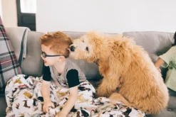 Little Unicorn Cotton Muslin Big Kid Quilt - Woof