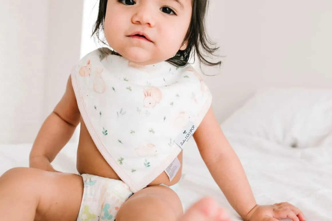 Loulou Lollipop Luxe Muslin Bandana Bib Set - Bunny Meadow