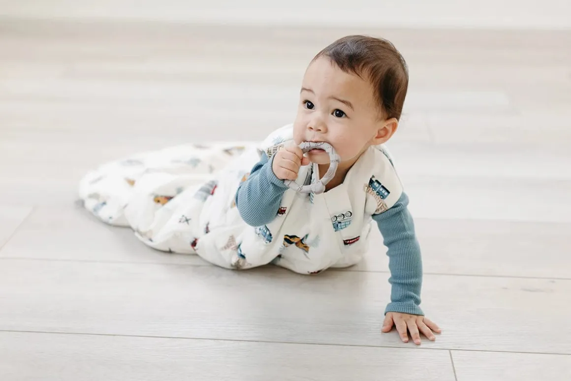 Loulou Lollipop TENCEL Sleep Bag 2.5 Tog, 6-18 Months - All Aboard