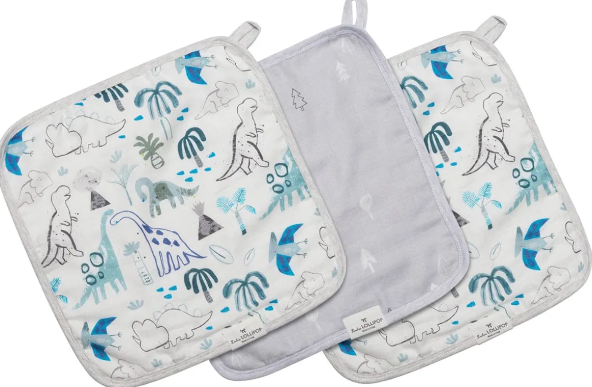Loulou Lollipop Washcloth 3-Piece Set - Dinosaurs