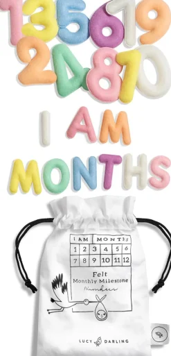 Lucy Darling Monthly Milestone Felt Letters - Pastel