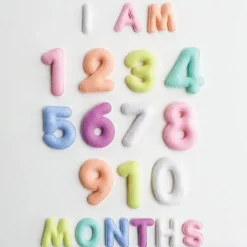 Lucy Darling Monthly Milestone Felt Letters - Pastel