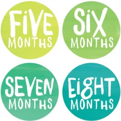 Lucy Darling Monthly Stickers - Rainbow Spectrum