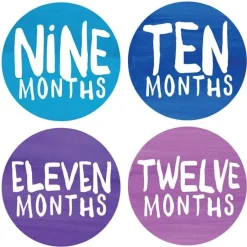 Lucy Darling Monthly Stickers - Rainbow Spectrum