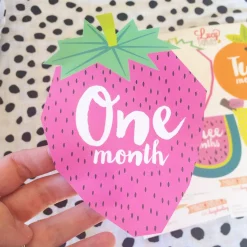 Lucy Darling Monthly Stickers - Tutti Frutti