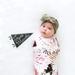 Lucy Darling Petit Milestone Pennant - Little Stargazer