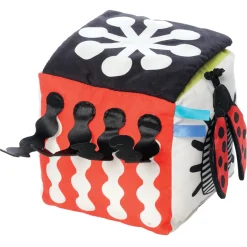 Manhattan Toy Wimmer Discovery Cube
