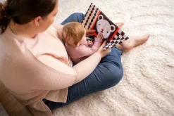 Manhattan Toy Wimmer Peek & Go Mirror