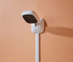 Masimo Stork Camera