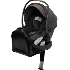 Maxi-Cosi Ambra Infant Car Seat - Escargot