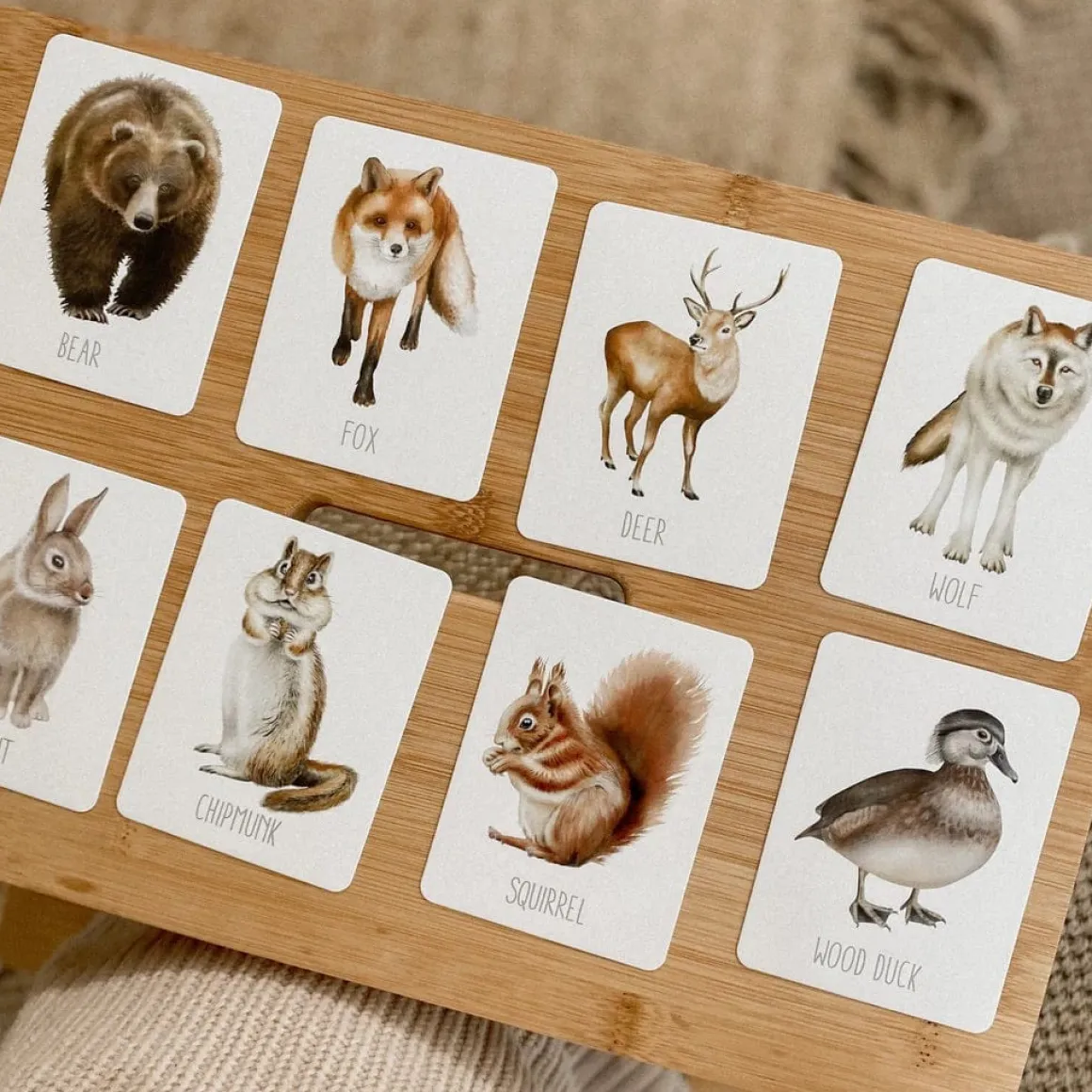 Modern Monty Snap & Go Fish - Woodland (2 Card Games in 1)