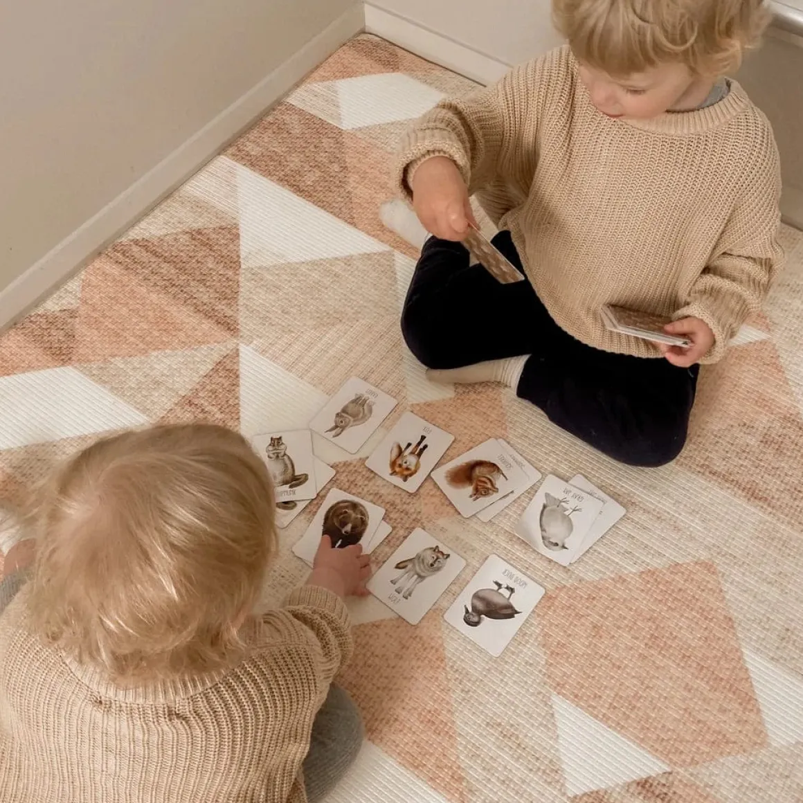 Modern Monty Snap & Go Fish - Woodland (2 Card Games in 1)