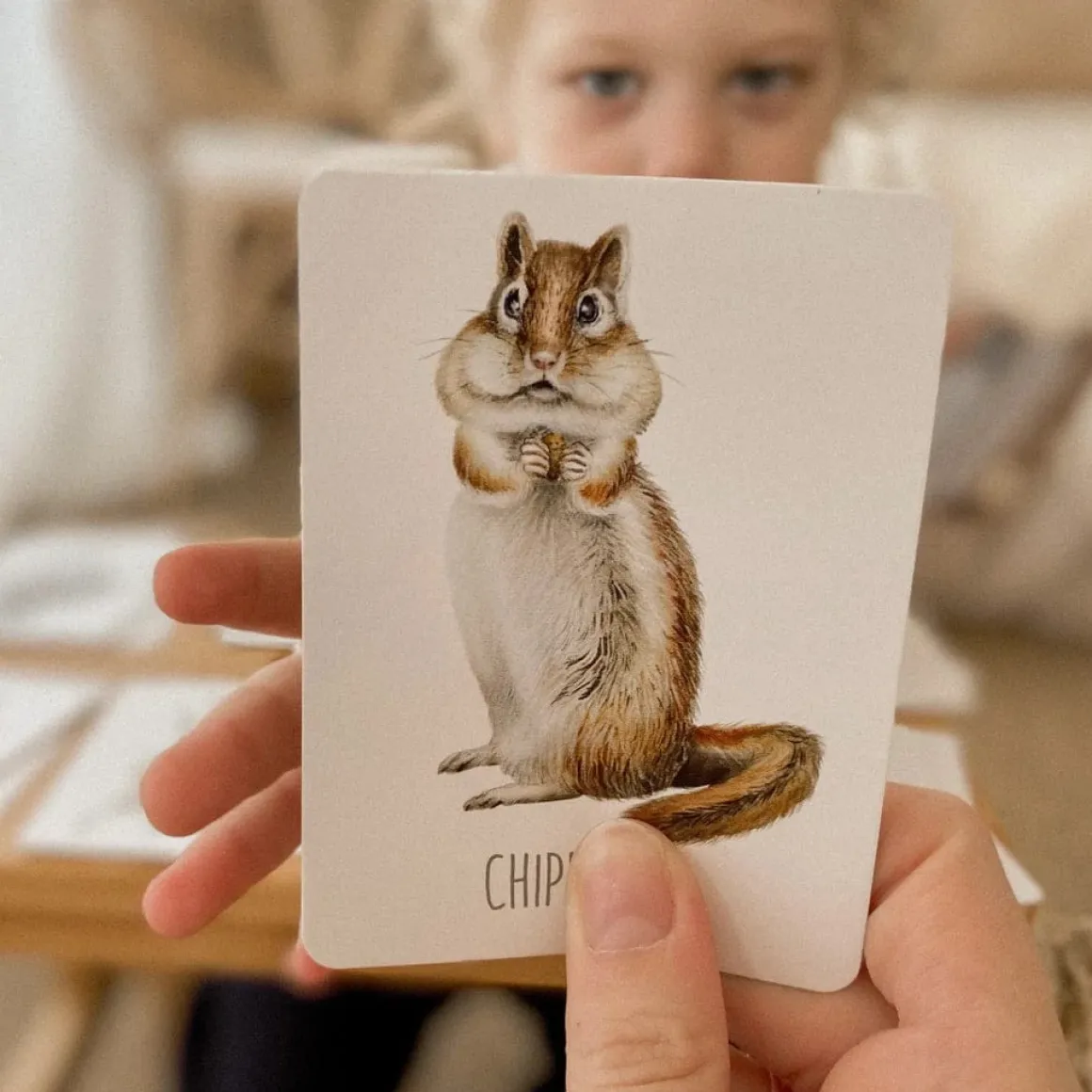 Modern Monty Snap & Go Fish - Woodland (2 Card Games in 1)