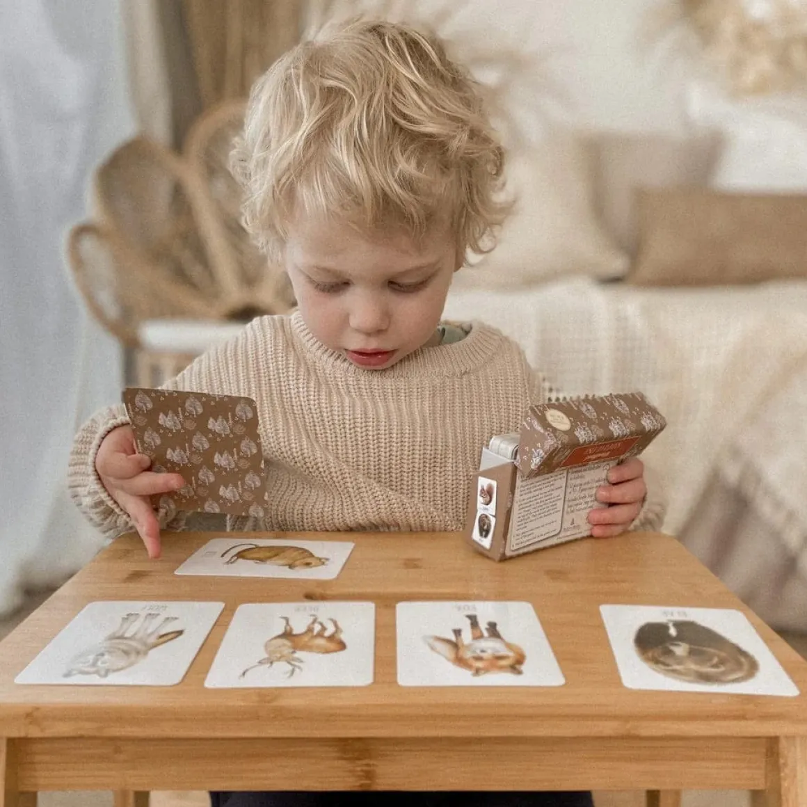 Modern Monty Snap & Go Fish - Woodland (2 Card Games in 1)