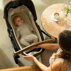 Nuna SWIV & TRIV Series Bassinet + Stand - Graphene (Nuna x BMW)