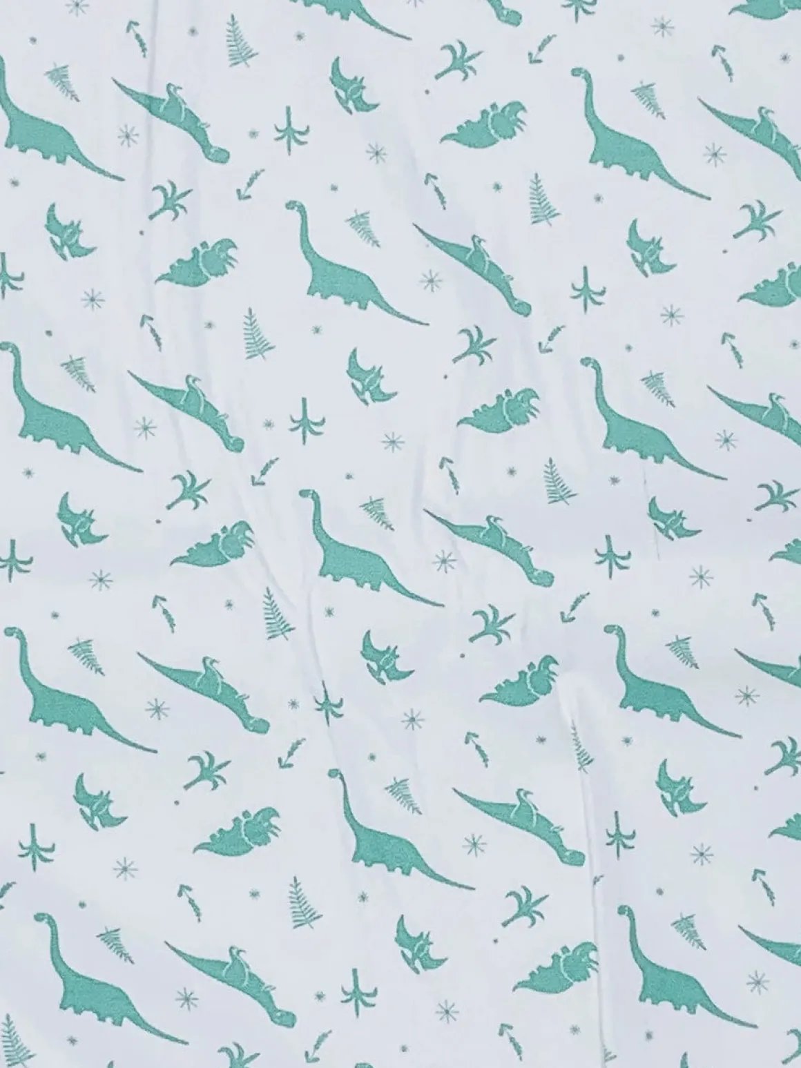 Pronto Cool Bum Liner - Teal Dinos