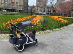Pronto One (2 Seater) Stroller Wagon - White Frame / Dark Teal