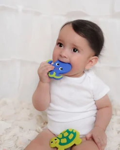 Silli Chews Teether - Olli Octopus