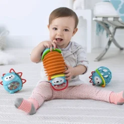 Skip Hop Explore & More Hedgehog Accordion